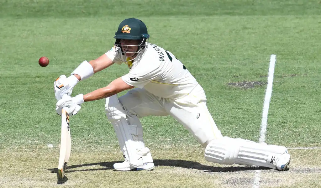 Australia star David Warner bats in Test cricket