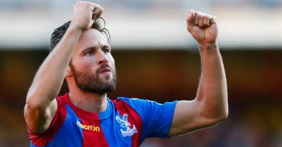 Crystal Palace: Money can Cabaye you love