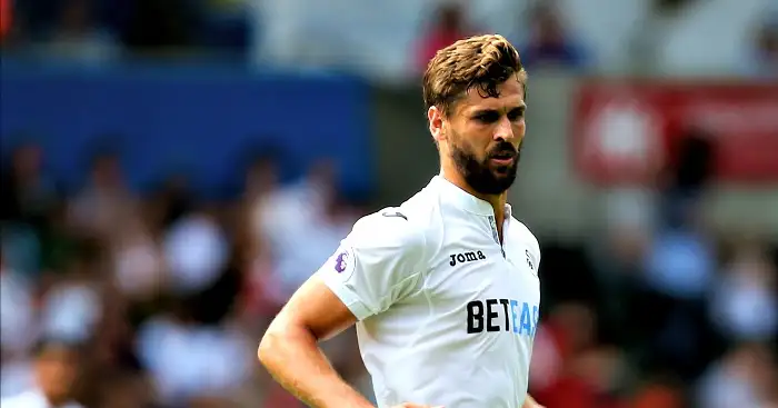 Swansea and Palace win, Everton, Hull and Stoke lose