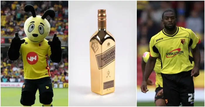 Premier League hall of shame: Watford