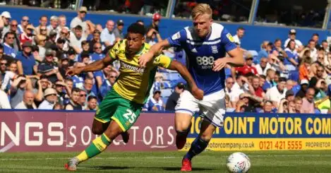 Birmingham 2-2 Norwich: Late drama sees spoils shared