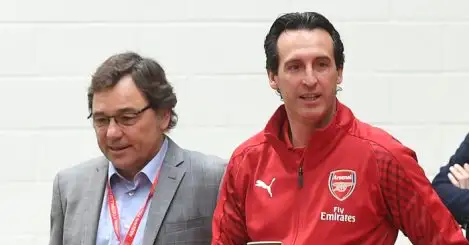 Arsenal chief gives huge insight into January transfer plans
