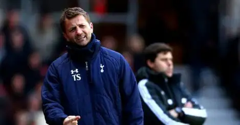 Would Tim Sherwood have taken Tottenham to the CL final?