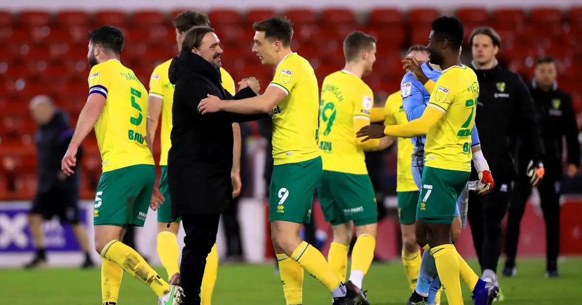 Norwich celebrate promotion back to the Premier League