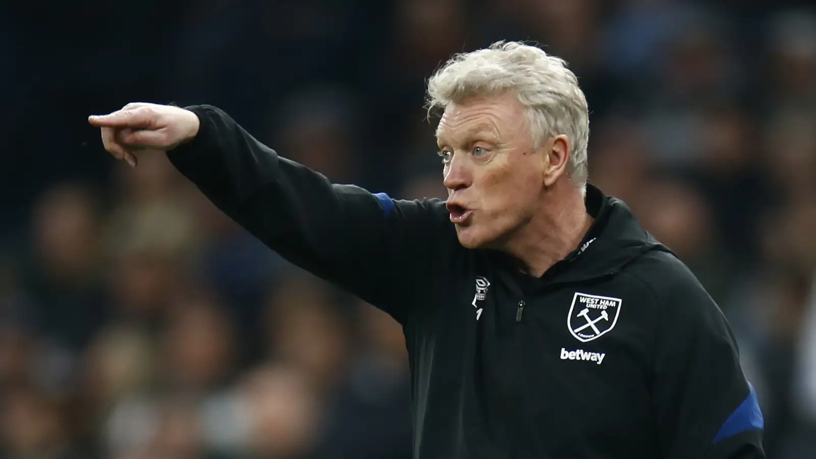 David Moyes during a match