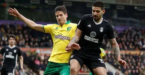 Fulham and Norwich are opposites trapped in a dangerous cycle
