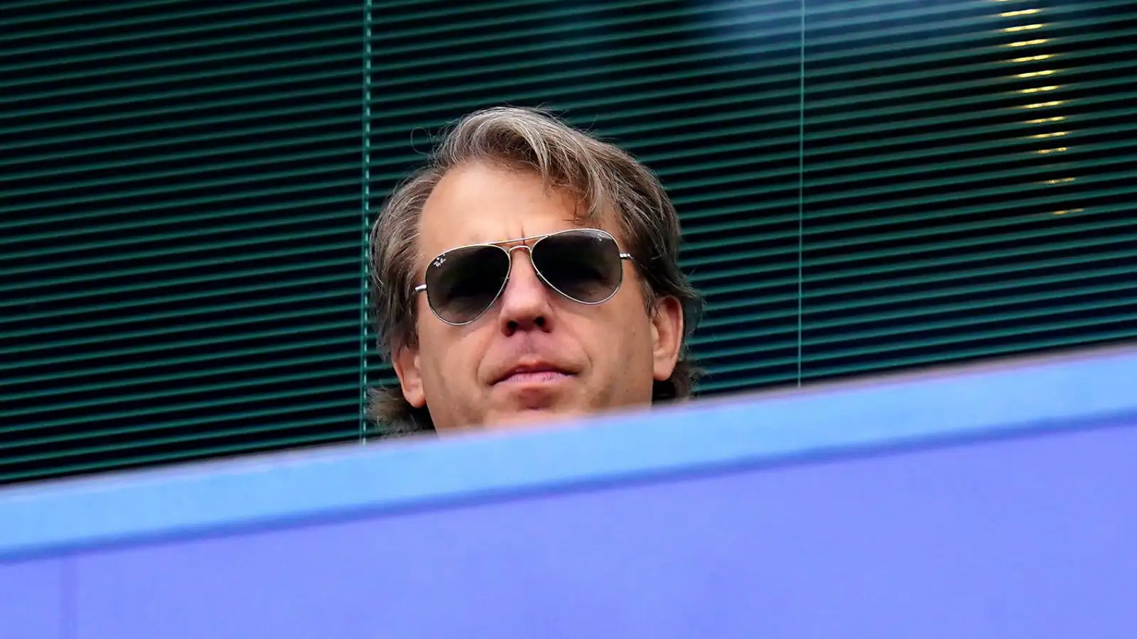 Todd Boehly in the stands during a game