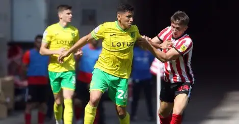 Norwich City, Sunderland rank highly in Championship net spend table after £79m summer spree