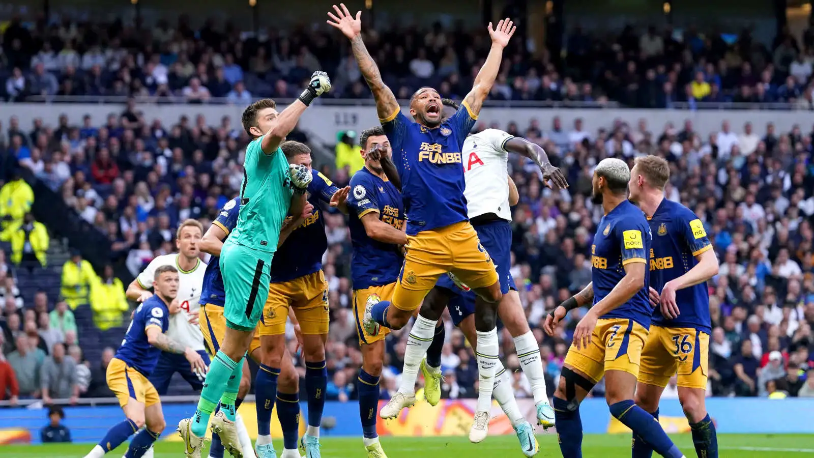 Newcastle pressurise against Spurs in their Premier League game.