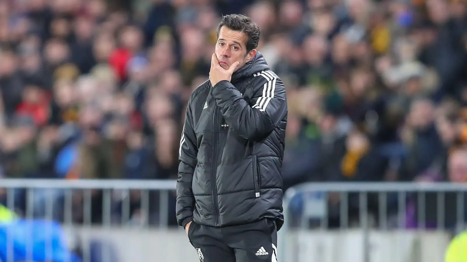 Fulham boss Marco Silva: We are really an ambitious football club