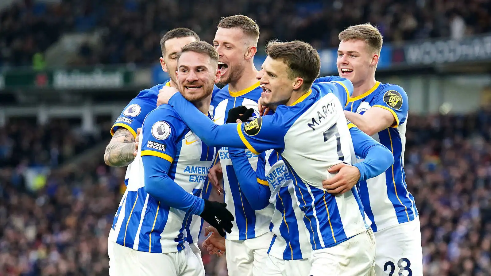 Brighton are gently pushing at a glass ceiling Newcastle have tried to smash through
