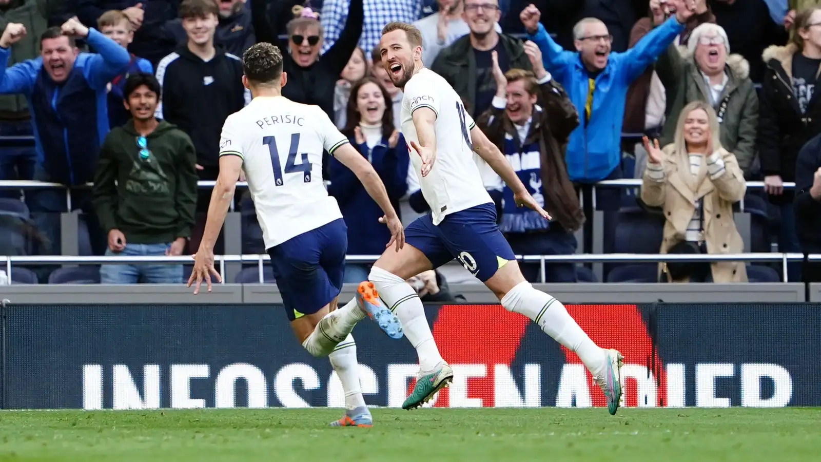 Harry Kane celebrates scoring for Tottenham against Brighton.