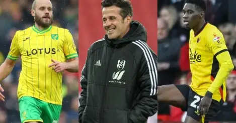 Norwich City, Watford decline but Fulham, Rotherham come of age in season of broken yo-yos