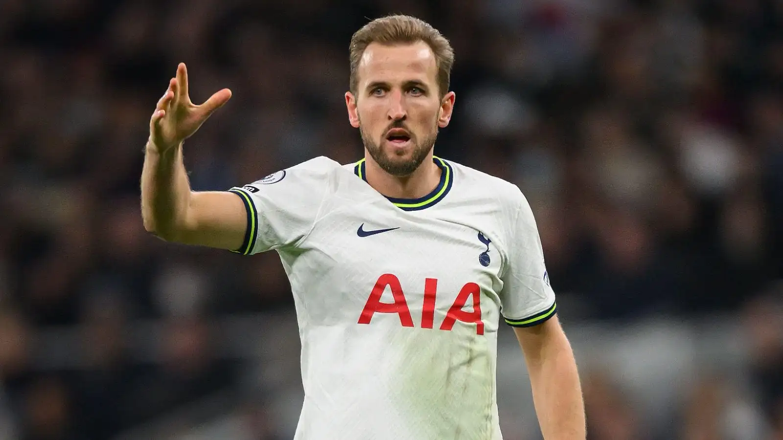 Harry Kane Bayern Munich transfer confidence grows