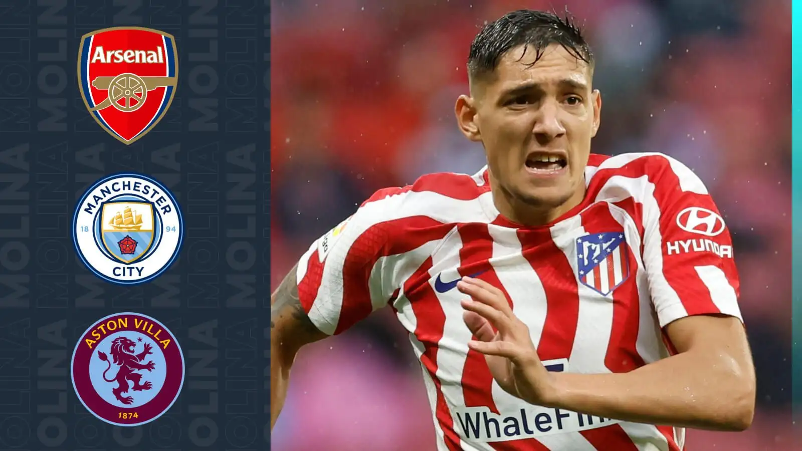 Atletico Madrid sign Argentina's Molina from Udinese