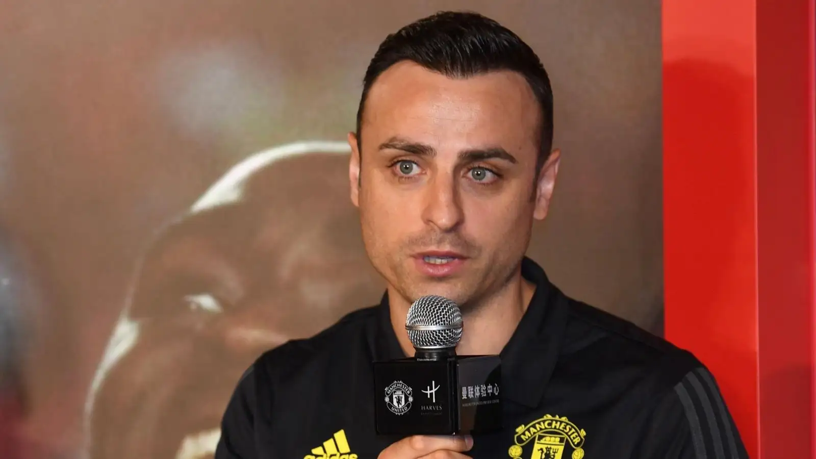 Previous Guy Utd demonstrator Dimitar Berbatov