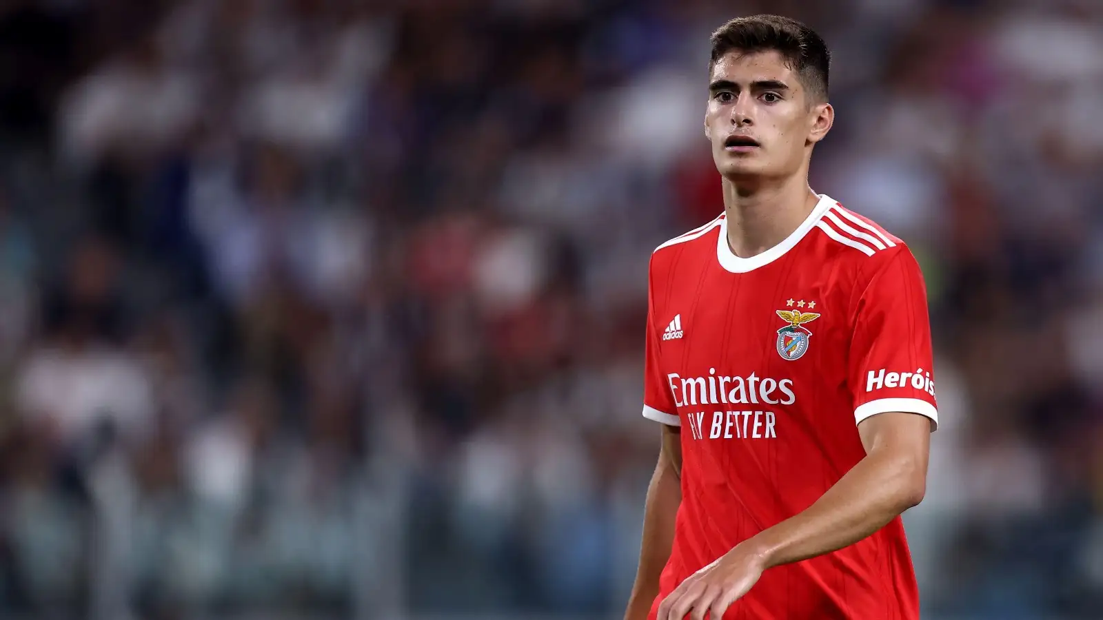 Antonio Sivla Benfica