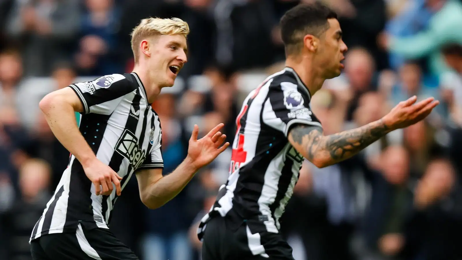 Newcastle United winger Miguel Almiron celebrates his goal with Anthony Gordon.