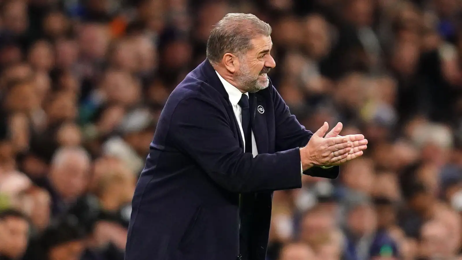 Postecoglou Tottenham