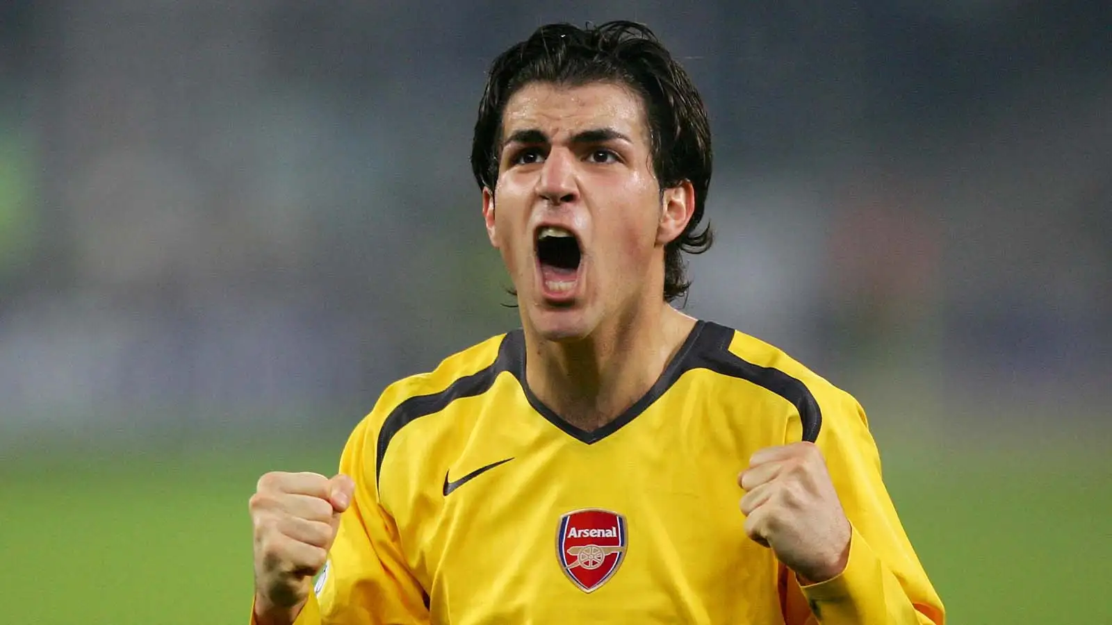 Arsenal's Cesc Fabregas celebrates