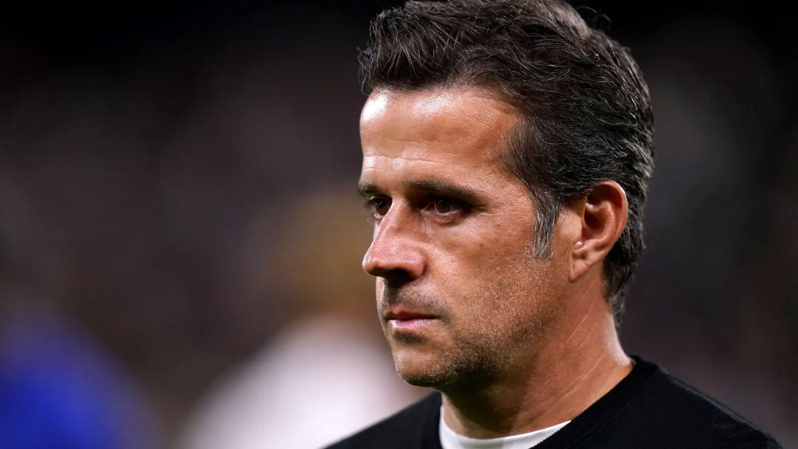 Fulham head guru Marco Silva throughout a match.