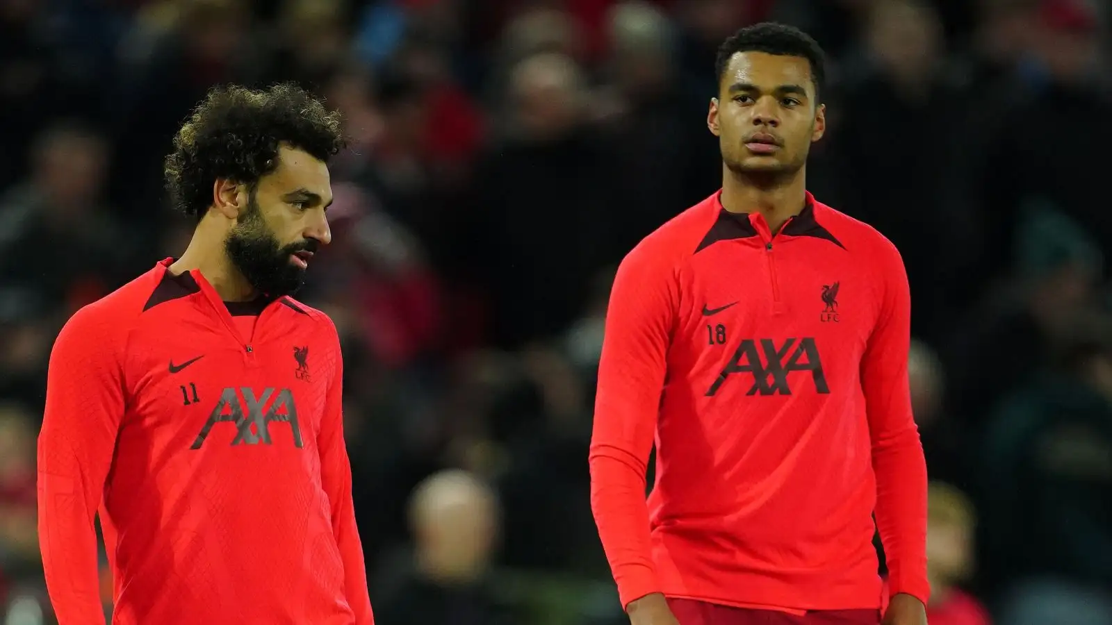 Liverpool duo Salah as well as Gakpo
