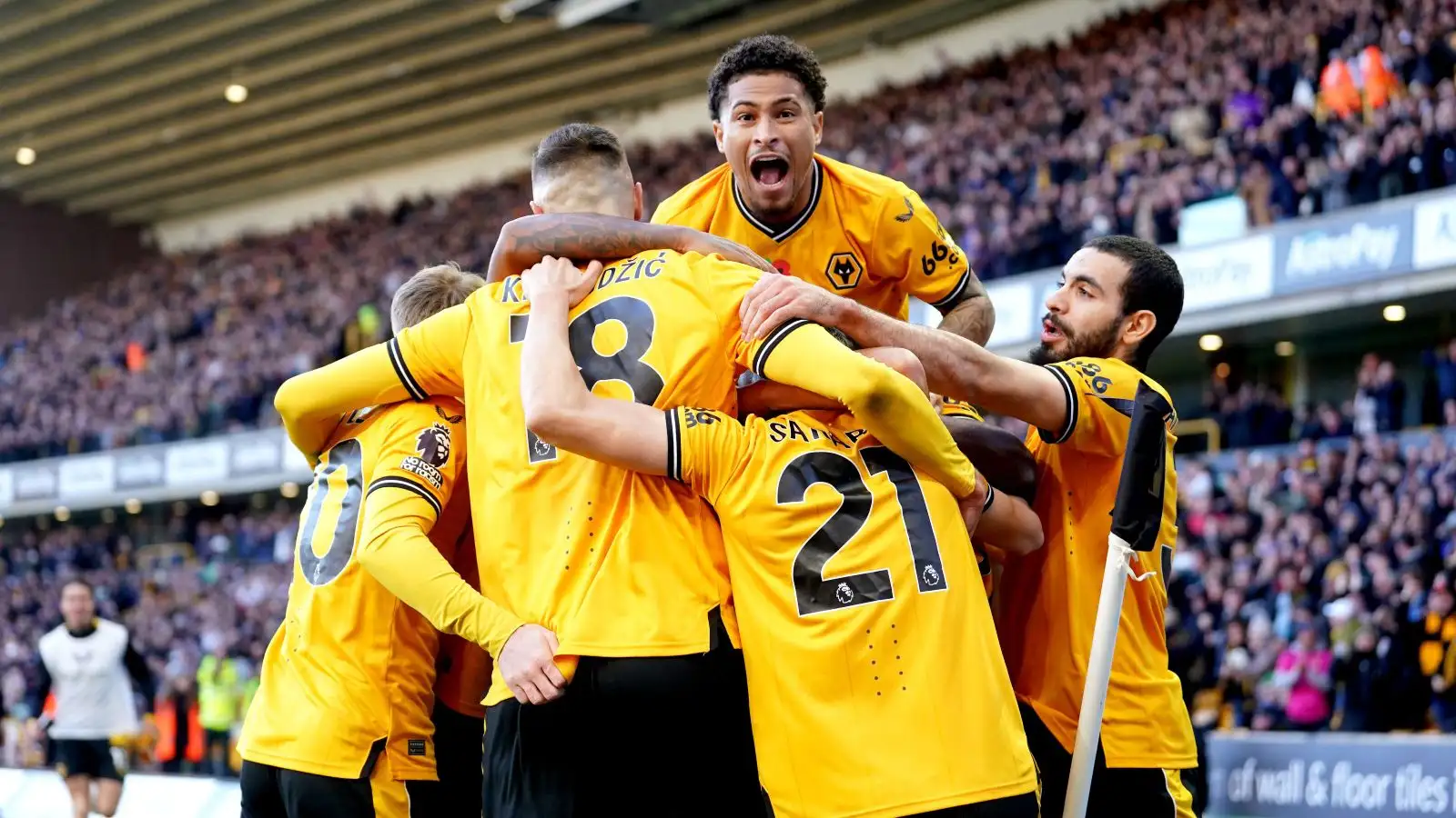 Wolves players rejoice Pablo Sarabia's urge versus Tottenham.