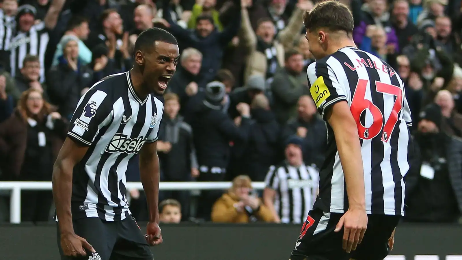 Alexander Isak celebrates scoring for Newcastle against Chelsea.