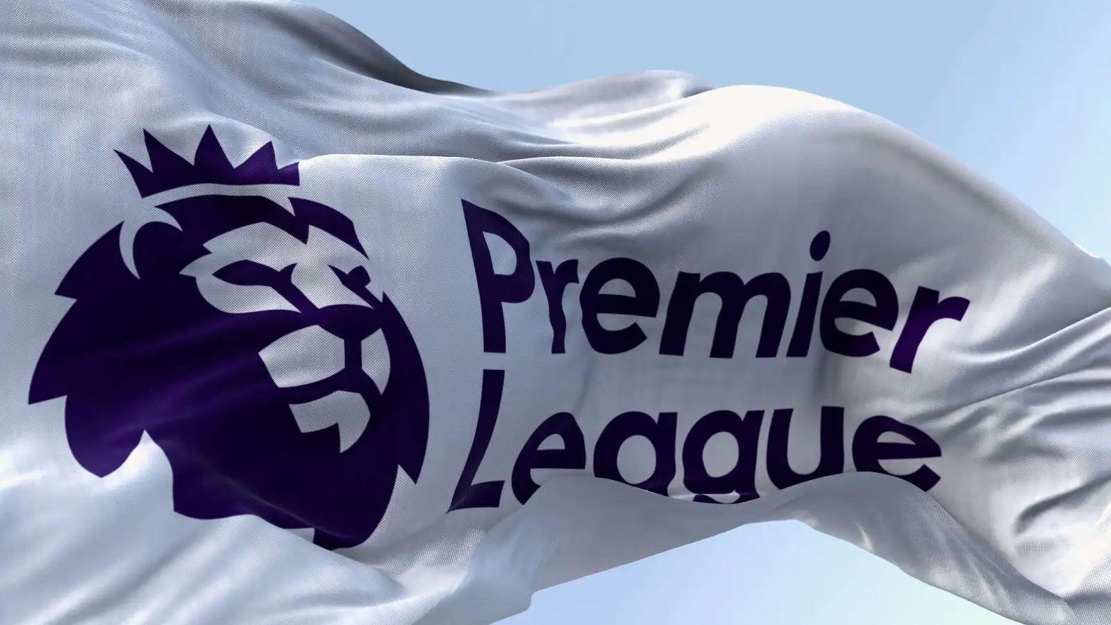 Premier League flag