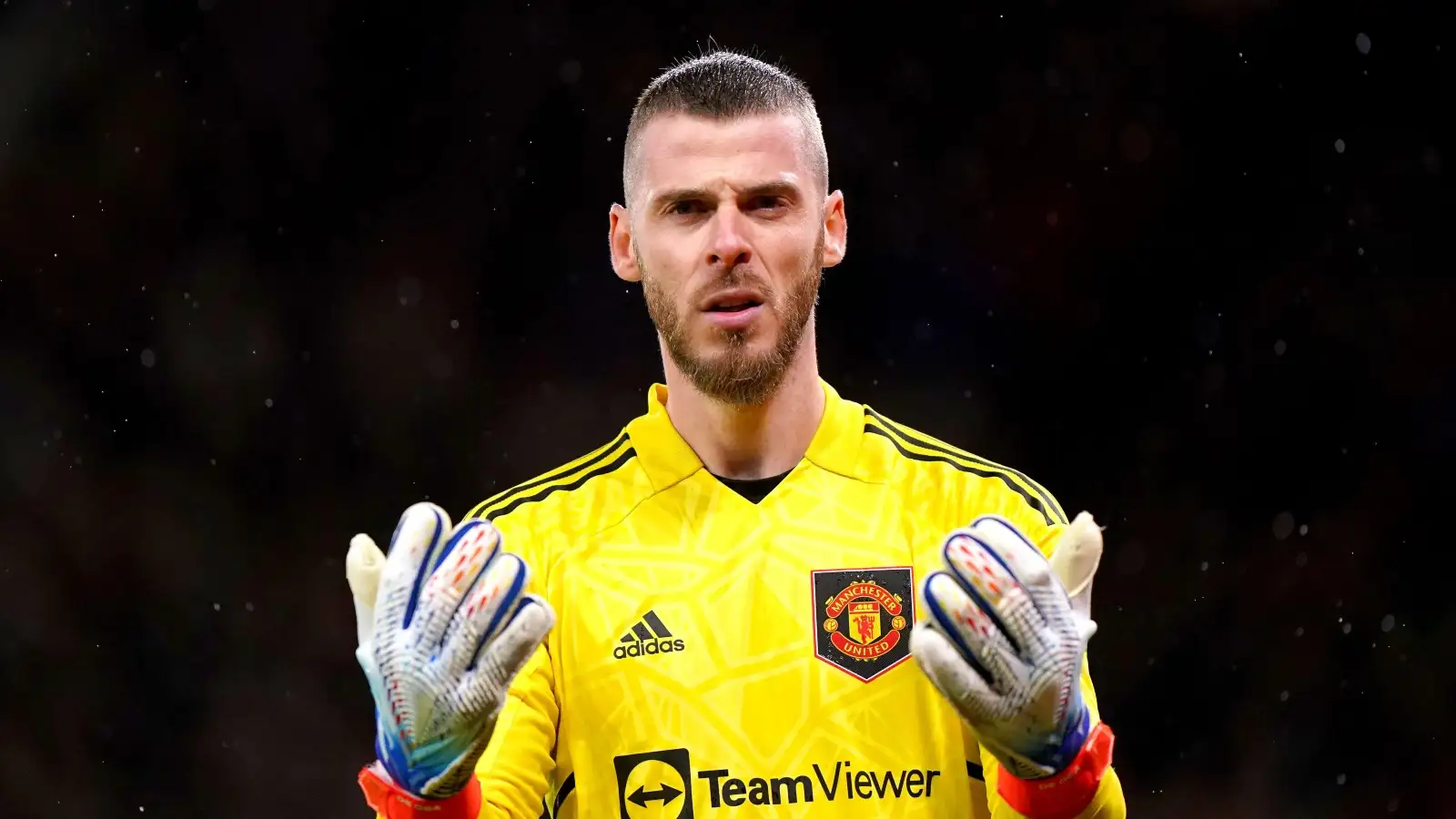 David De Gea in action for Manchester United.