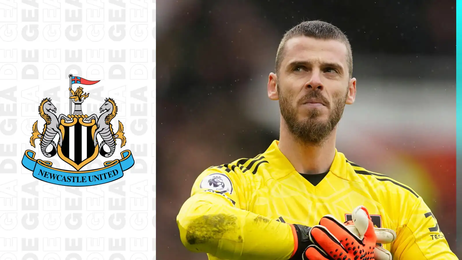 Newcastle transfer for Man Utd legend ruled out as star refuses to 'drop' £17m-a-year demands 3 c?url=https%3A%2F%2Fd2x51gyc4ptf2q.cloudfront.net%2Fcontent%2Fuploads%2F2023%2F12%2F04120349%2FF365 One Badge White De Gea with Newcastle 1
