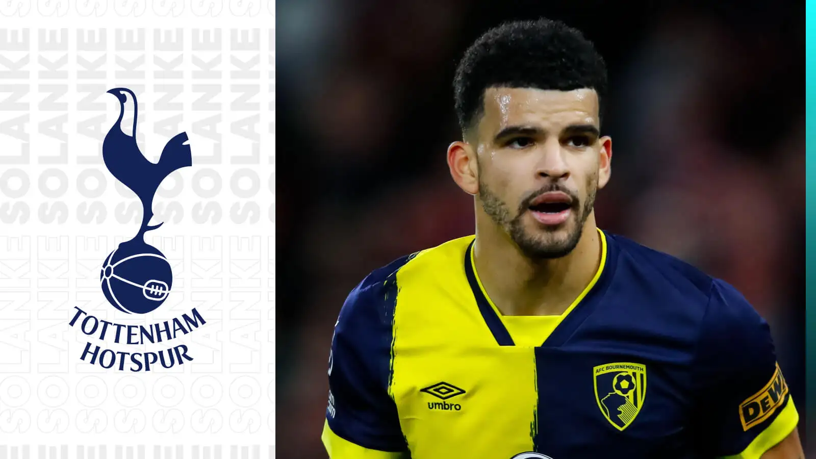 Tottenham transfer target Dominic Solanke