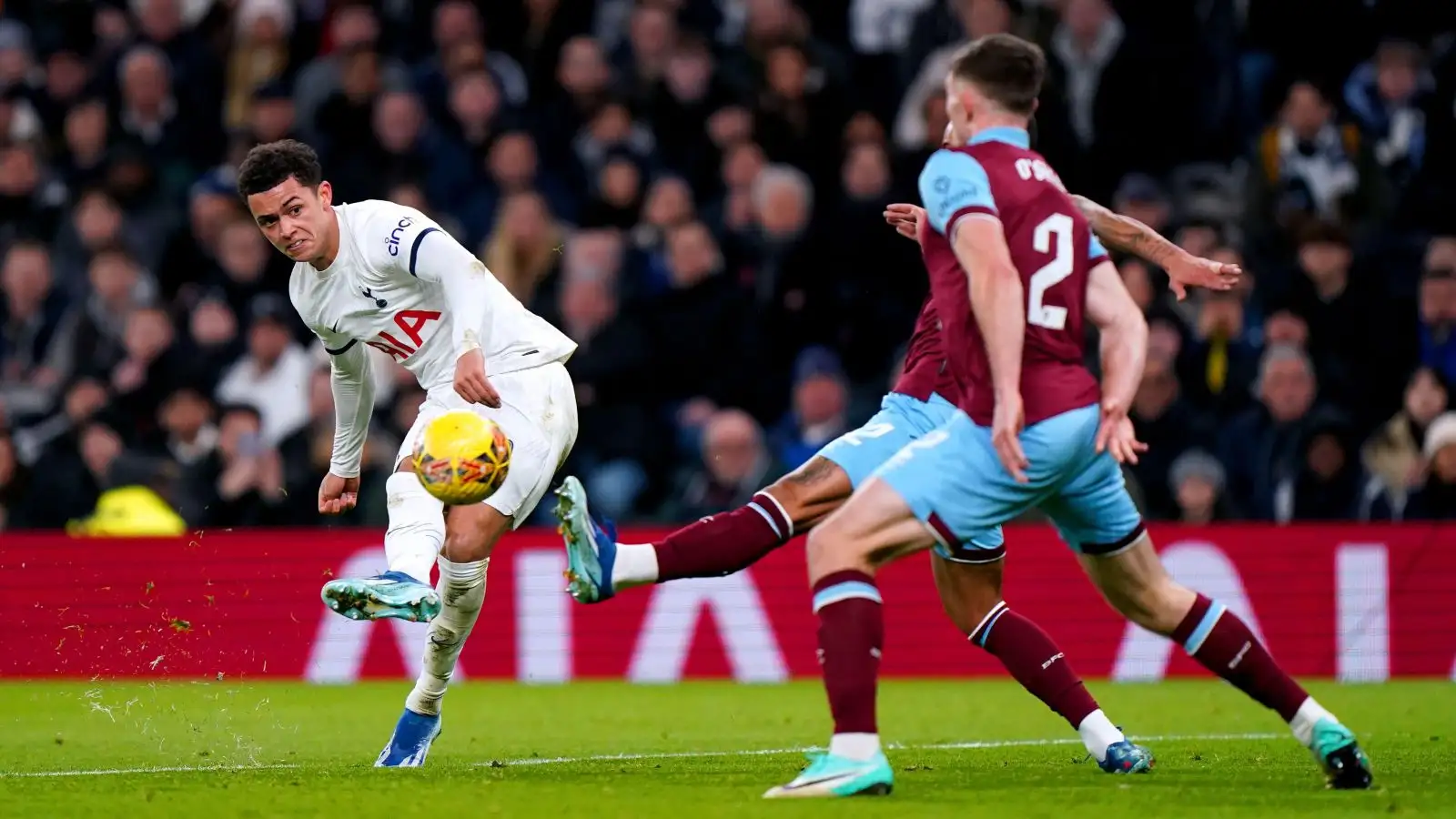 Spurs winger Brennan Johnson owns an project at aspiration.