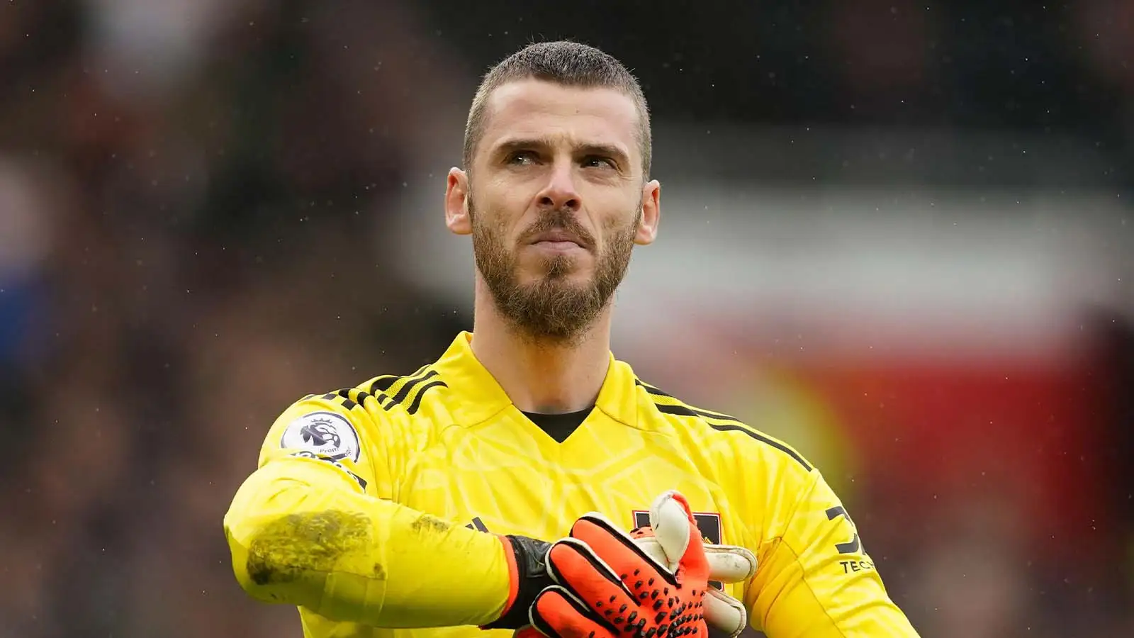 David De Gea đang thi đấu cho Man Utd