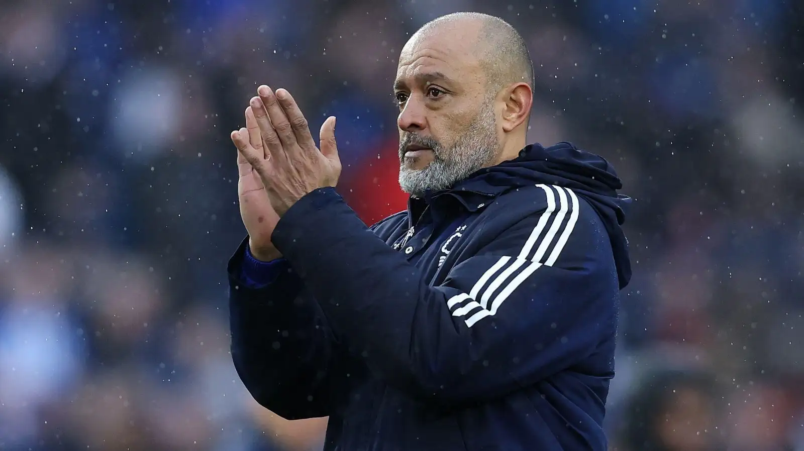 Forest manager Nuno Espirito Santo