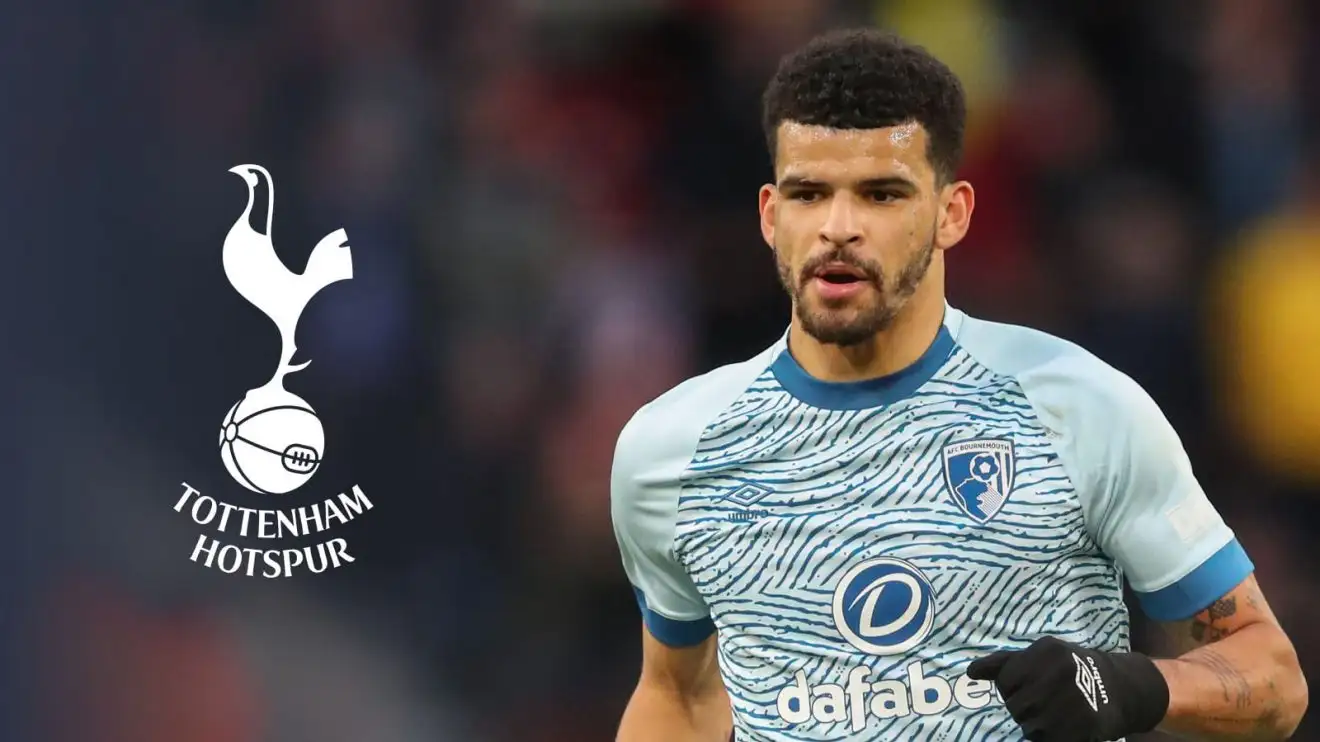 Tottenham ready for next steps in pursuit of 21-goal striker 1 Tottenham are anxious to go unanimously in for Dominic Solanke
