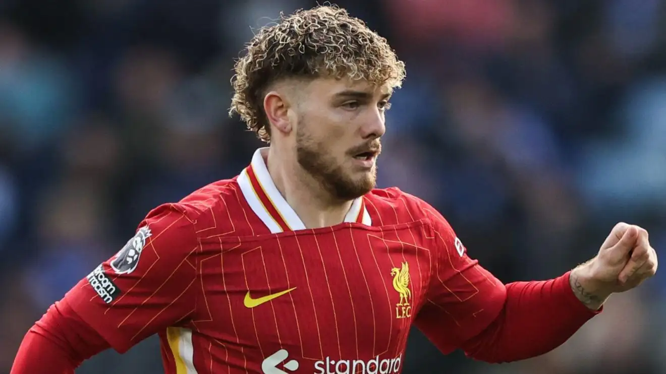 Liverpool eye £50m midfielder as Slot casts doubt over Elliott's future 1 Liverpool midfielder Harvey Elliott in response
