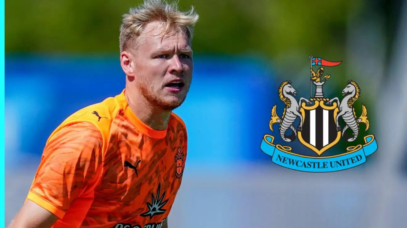 Newcastle to pay 'sizeable fee' as Ramsdale transfer agreed 1 Newcastle badge and also Aaron Ramsdale