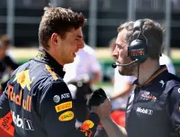 Verstappen: ‘Guess I still know how to drive’