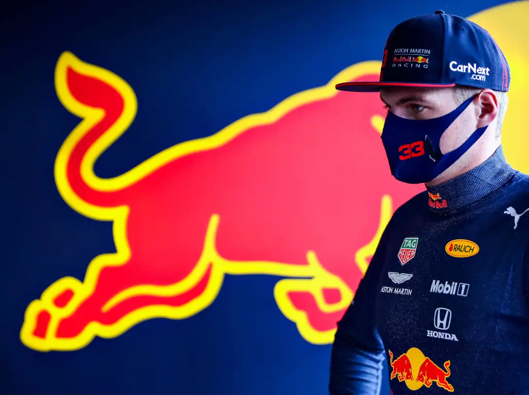 Max Verstappen bull mask