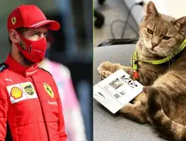 RIP Formulino: The iconic Imola cat that cursed Sebastian Vettel