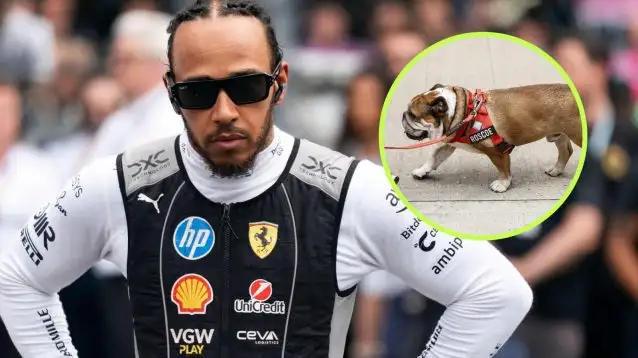 Hamilton's Instagram Cleanse: A Digital Detox?