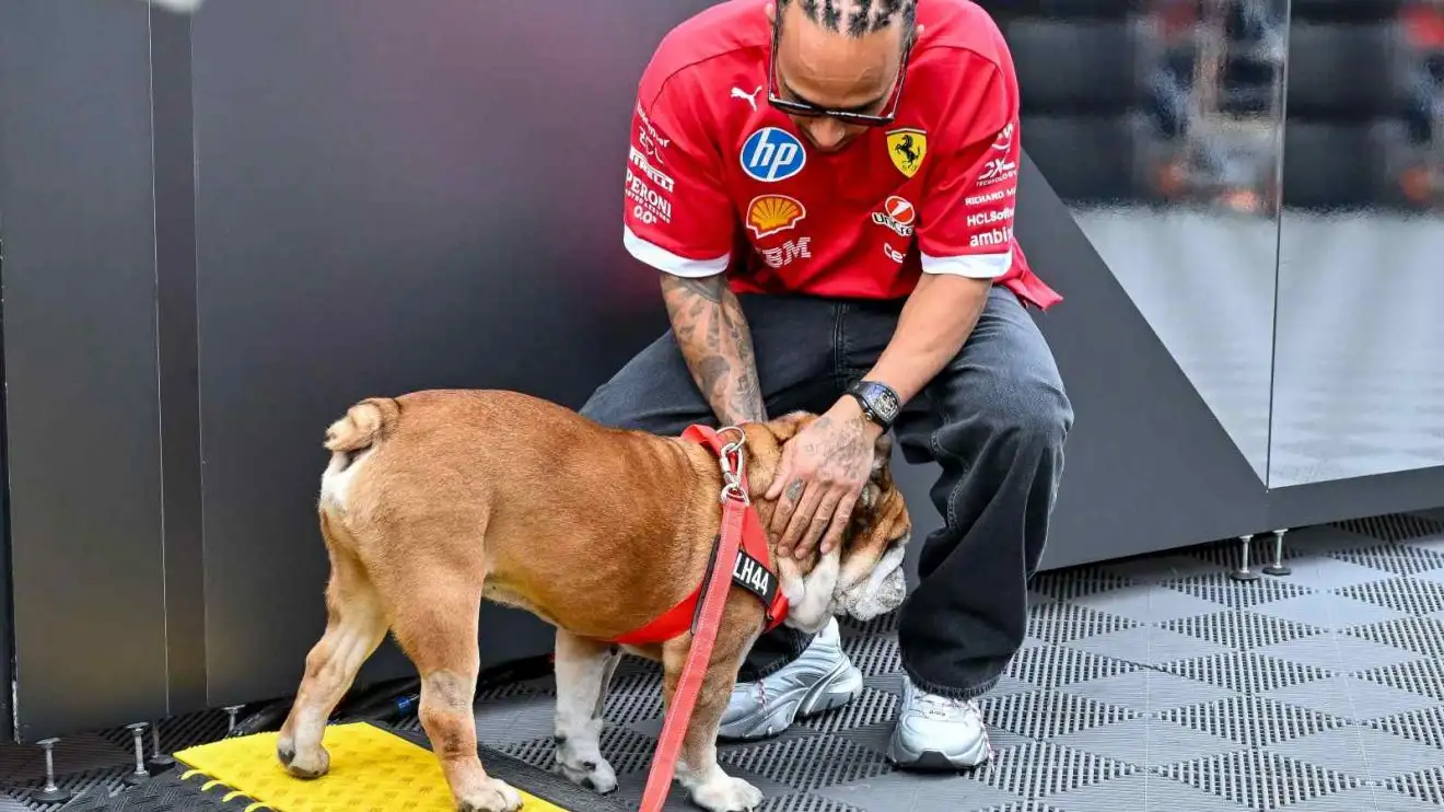 Rassegna F1: Hamilton piange la scomparsa di Roscoe, Cadillac e Aston Martin con ingaggi chiave, la sfida Red Bull a Singapore