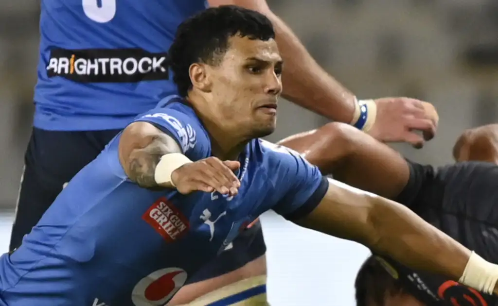 Embrose Papier relishing Bulls return