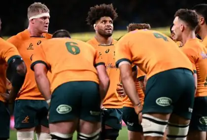 Rugby Championship: Wallabies turn focus to Bledisloe Cup after disappointing Springbok defeat