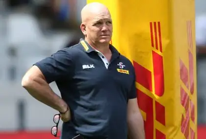 Champions Cup: Stormers boss John Dobson expecting risky clash against Harlequins in Cape Town