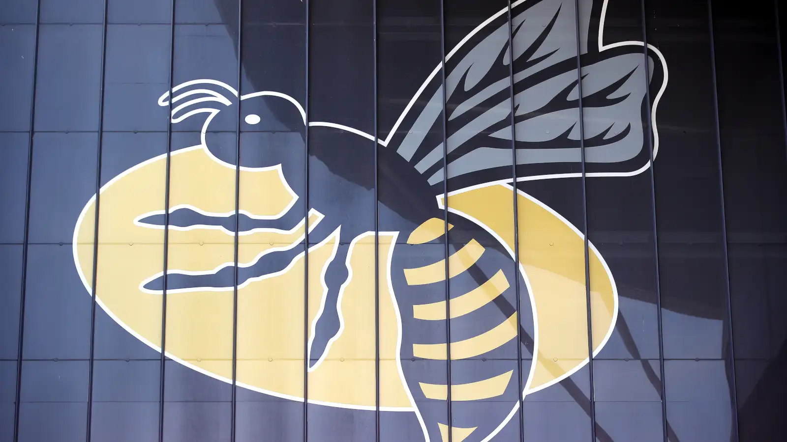 Premiership: Wasps have been placed in administration