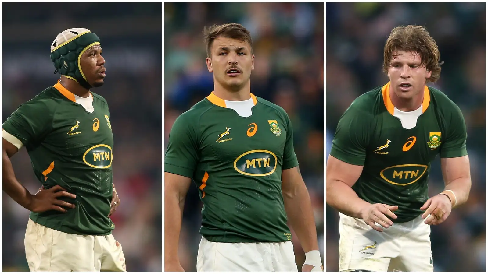 Springboks reclaim number one spot as northern hemisphere duo fall :  PlanetRugby