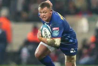 Champions Cup: Five takeaways from Stormers v Harlequins as Deon Fourie rolls back the years