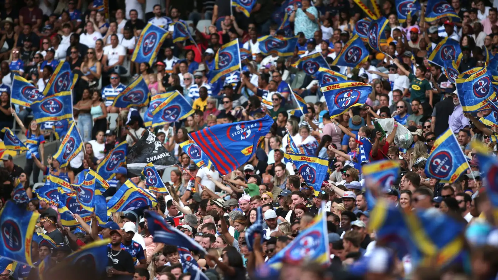 Champions Cup: Stormers crowd celebrates in Cape Town